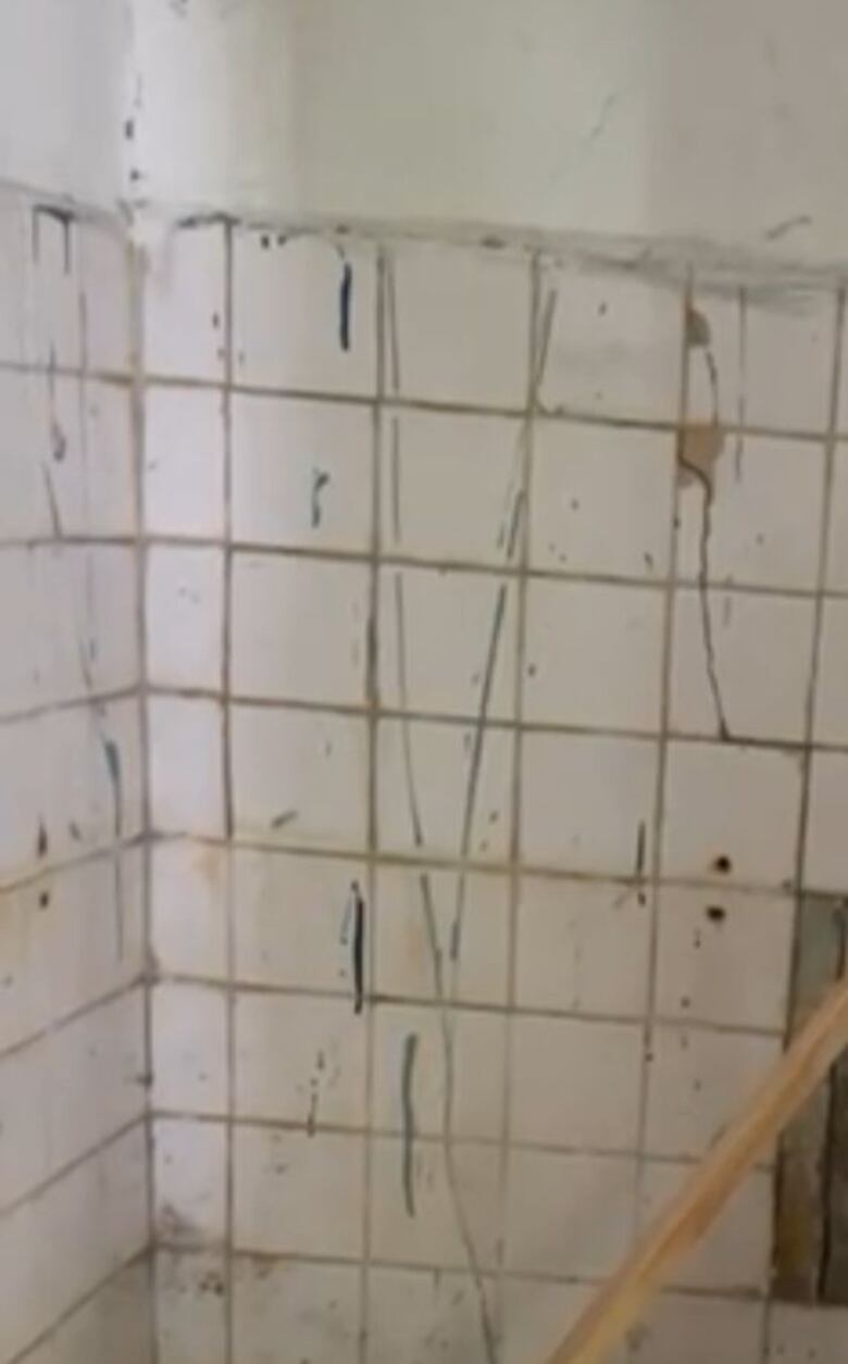 En pleno centro de la ciudad: estudiantes pasan su jornada escolar sin poder ir al baño