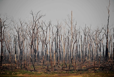 Hasta mil incendios en un día en la Amazonía brasileña en julio de 2020