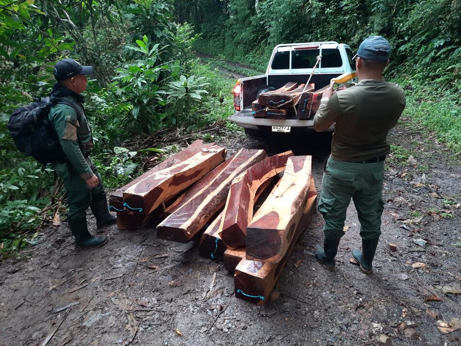 Parque Soberanía, en riesgo por la deforestación ilegal