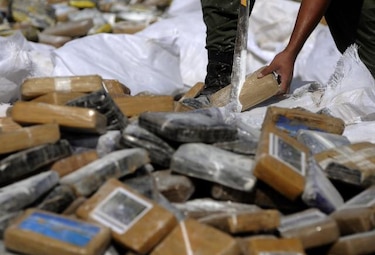 Destruyen 6.4 toneladas de droga
