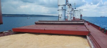 Casi sin Marina, Ucrania mantiene alejada a la flota rusa y expande el comercio marítimo