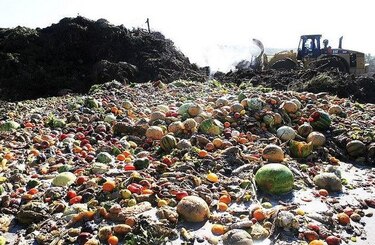 FAO: Uruguay pierde un millón de toneladas de alimentos al año