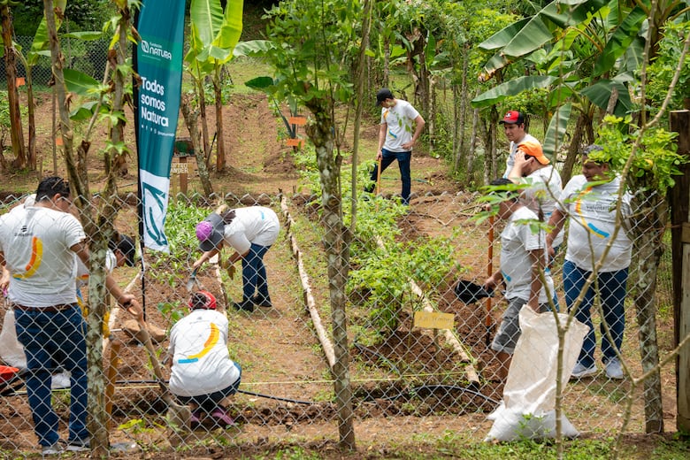 Voluntariados desde el Corazón: Transformando Comunidades, Inspirando Futuro