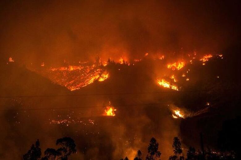 Suben a seis los muertos por incendios forestales en Chile