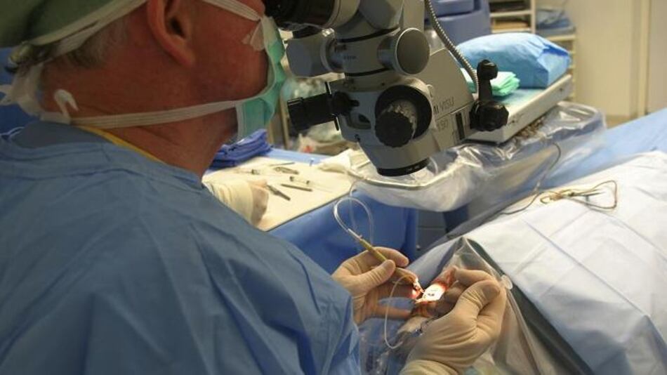 Presión sobre costo de seguros