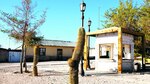 En el desierto más árido del mundo