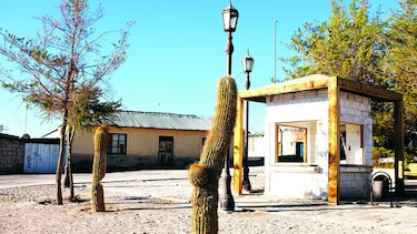 En el desierto más árido del mundo