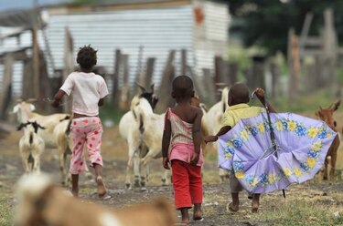 FAO: La agricultura es el motor para acabar con el hambre en África