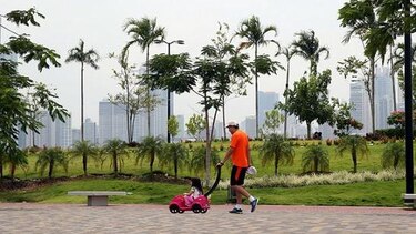 Esperanza de vida mundial ha aumentado seis años desde 1990