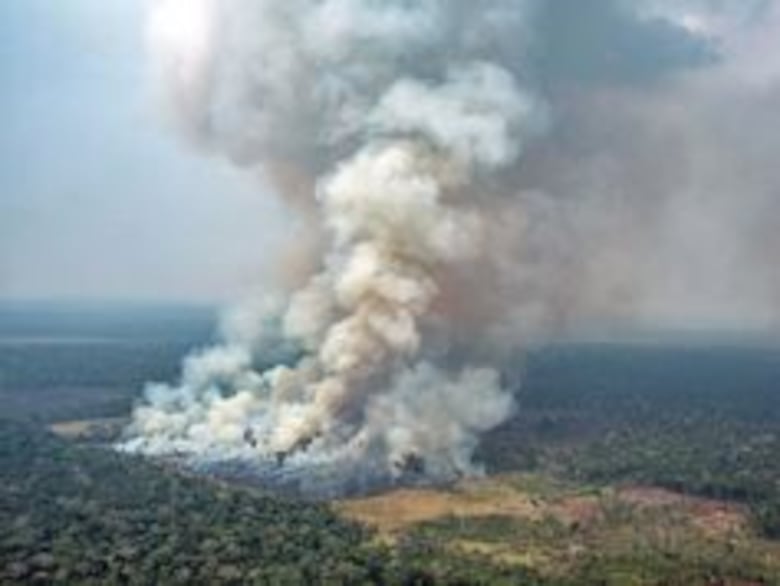 La lista más ‘roja’ de especies amenazadas