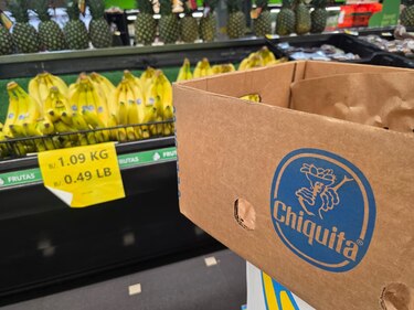 Gobierno se reunirá con representantes de Chiquita; proyectan exportar banano entre diciembre y enero