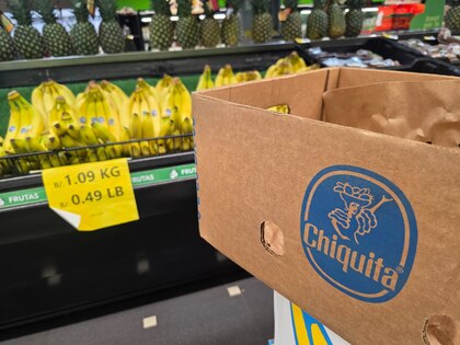 Gobierno se reunirá con representantes de Chiquita; proyectan exportar banano entre diciembre y enero