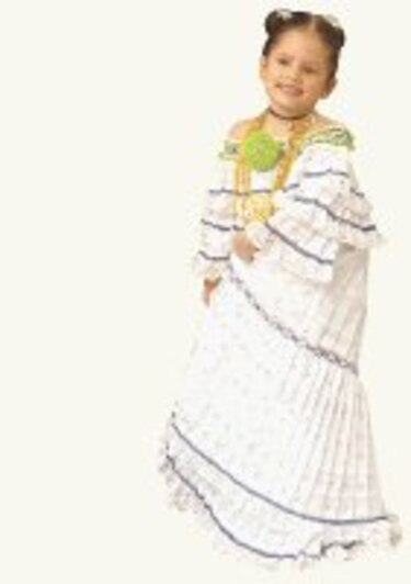 Nuestra pollera de lujo