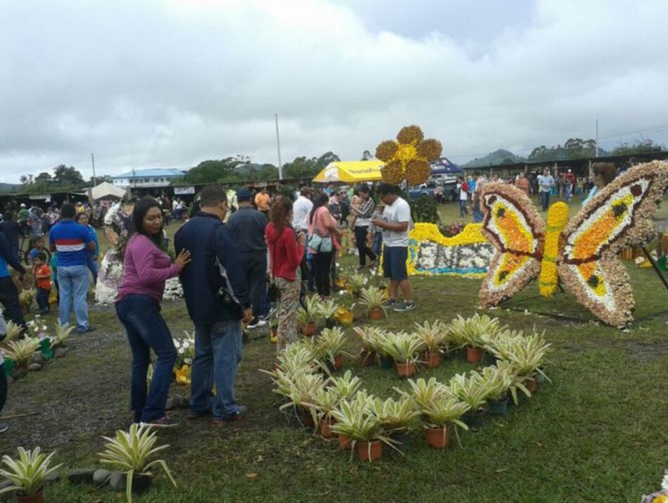 Invertirán $95 mil en la segunda Parada de Las Flores en Volcán