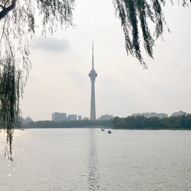 Rascacielos de fantasía