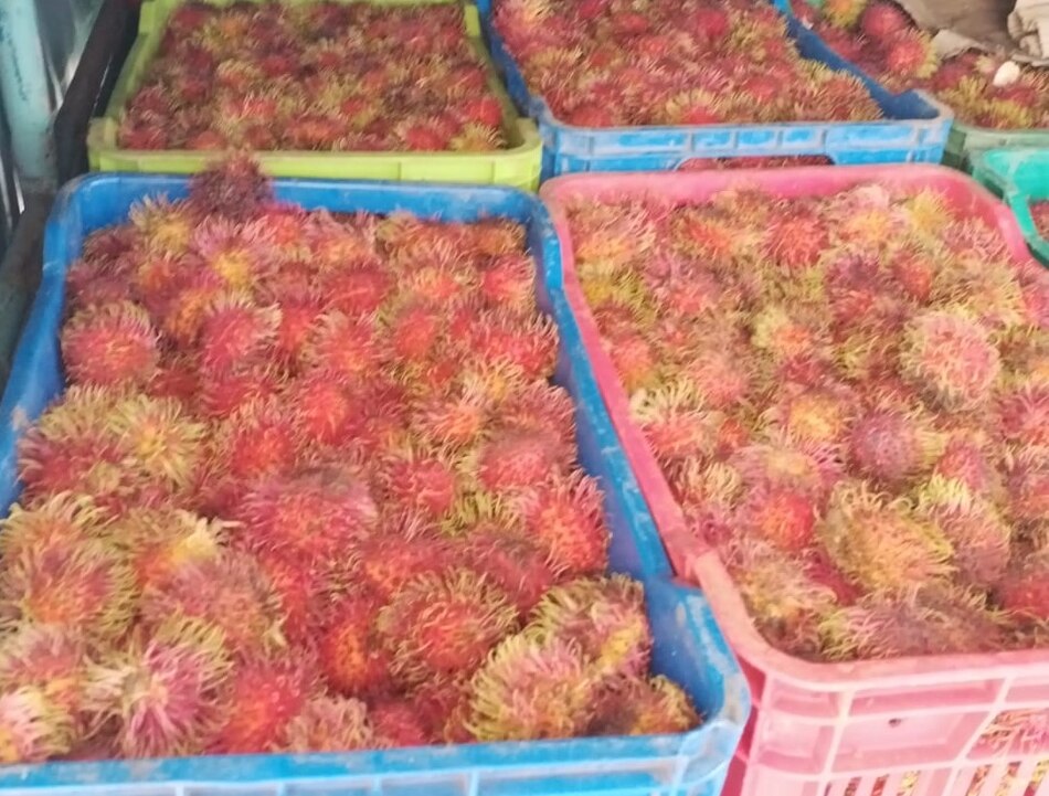 Operativo en Chiriquí: más de 15,000 cigarrillos y otros productos decomisados