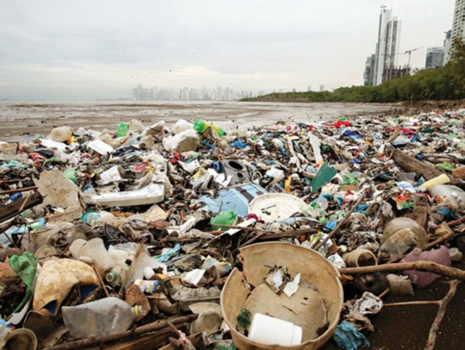 Cada hora, 11 toneladas de basura van a las costas y mares del país