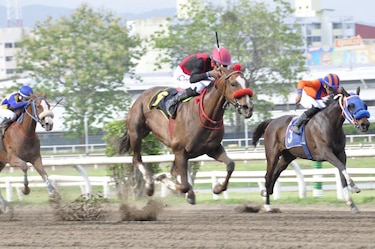 Panamá será la sede de la Serie Hípica del Caribe 2025