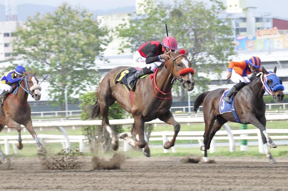 Panamá será la sede de la Serie Hípica del Caribe 2025