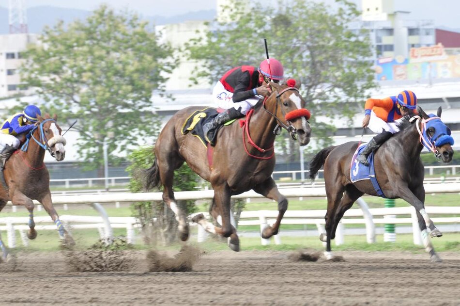 Panamá será la sede de la Serie Hípica del Caribe 2025