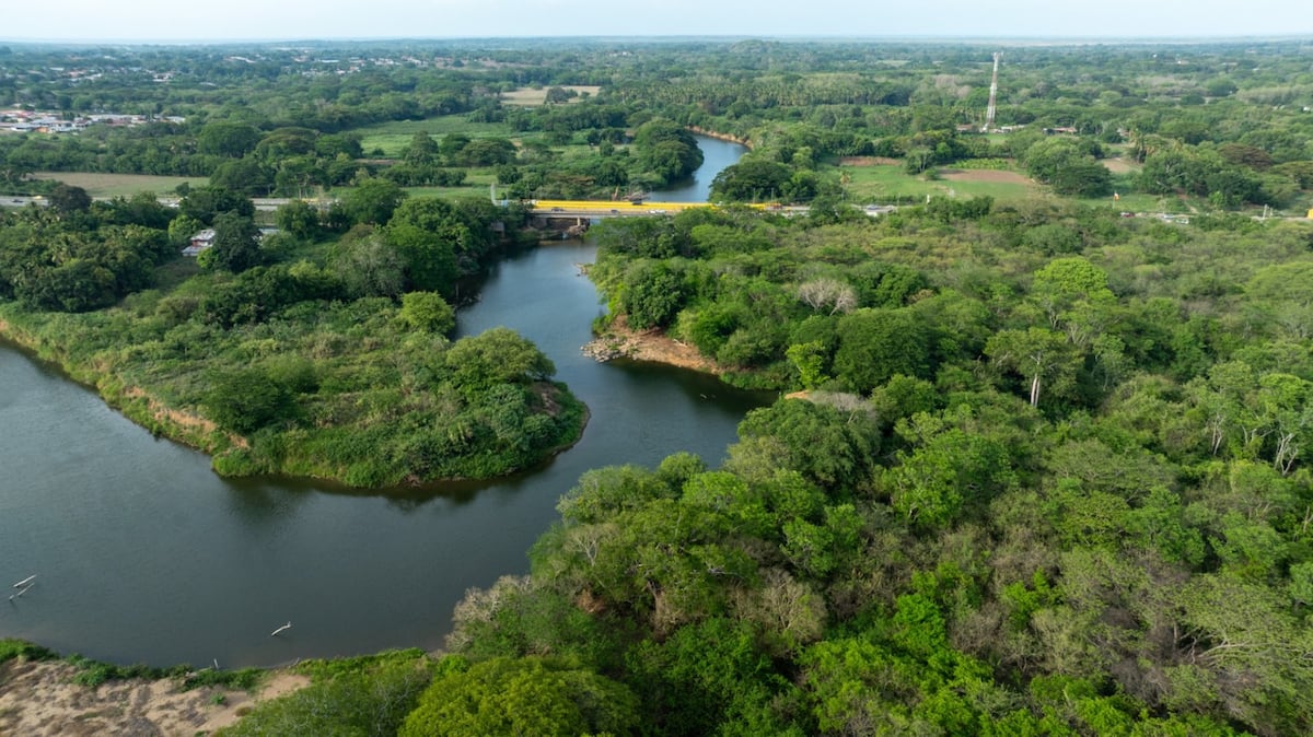 Panamá destaca el papel de las cuencas hidrográficas en la protección del agua y los ecosistemas