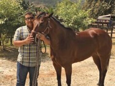 Alto, ‘soy diputado suplente’