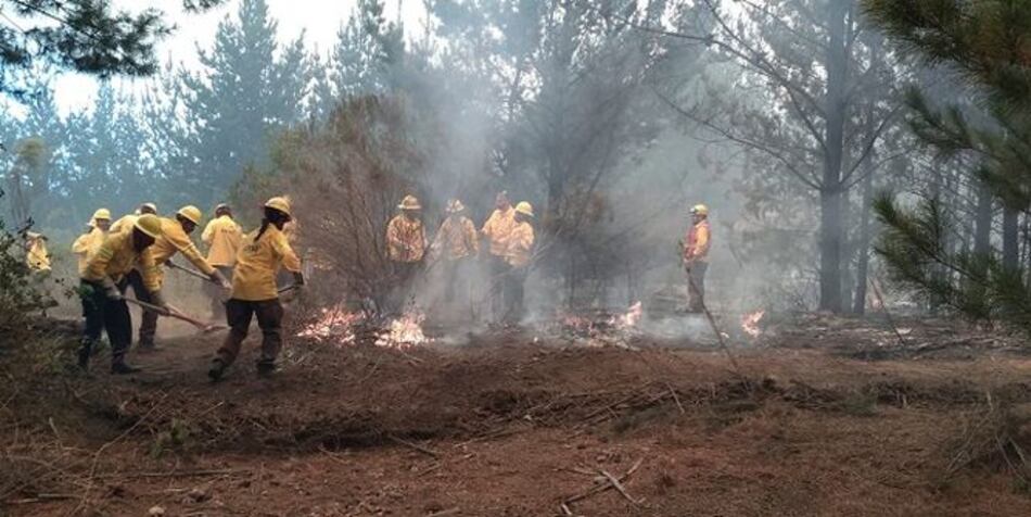 Incendios forestales afectan región chilena de Valparaíso y obligan a evacuaciones preventivas