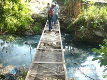 Aparecen sardinas muertas en la quebrada La Ermita