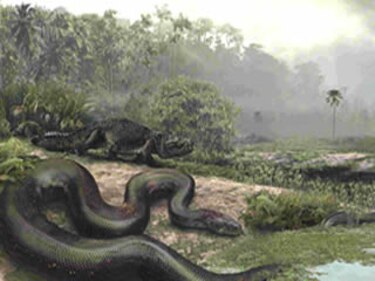 Investigador no sale de su asombro por fósil de serpiente