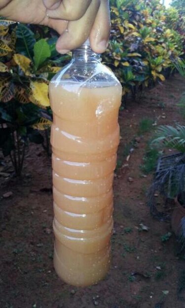 Reportan turbiedad del agua en Macaracas