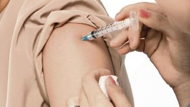 Opción ante el dengue