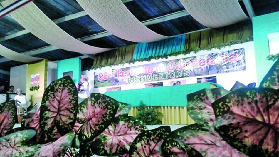 Arranca la feria de La Candelaria en Bugaba