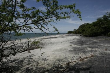 Herrera: Venta de terrenos de Juan Hombrón es innecesaria
