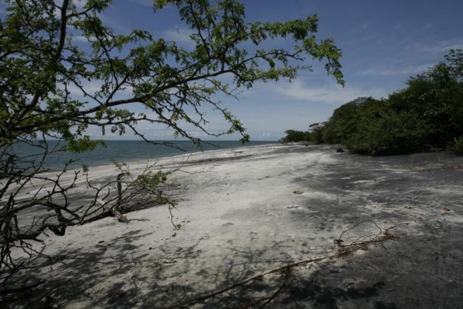 Herrera: Venta de terrenos de Juan Hombrón es innecesaria