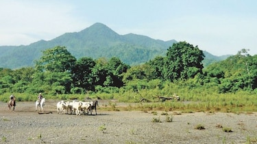 Fallo revive contrato del proyecto Riego de Tonosí