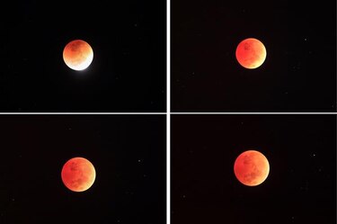 Así transcurrió el eclipse lunar total; el fenómeno no volverá a repetirse hasta 2025