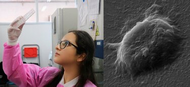 Cellfie para Células Madre