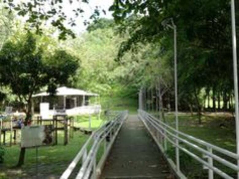 Bálsamo de guayacanes