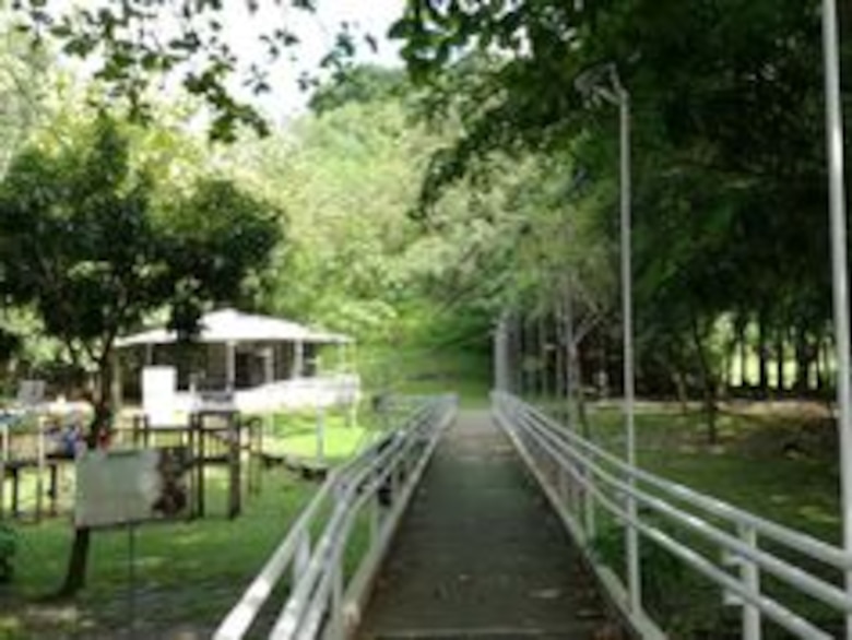 Bálsamo de guayacanes