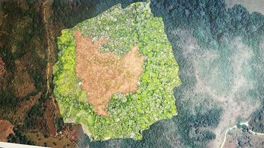 Crimen ecológico en Los Santos: deforestan siete hectáreas en reserva del río Cacao