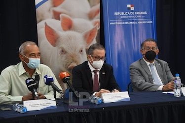Panamá declara alerta zoosanitaria por casos de peste porcina africana en República Dominicana