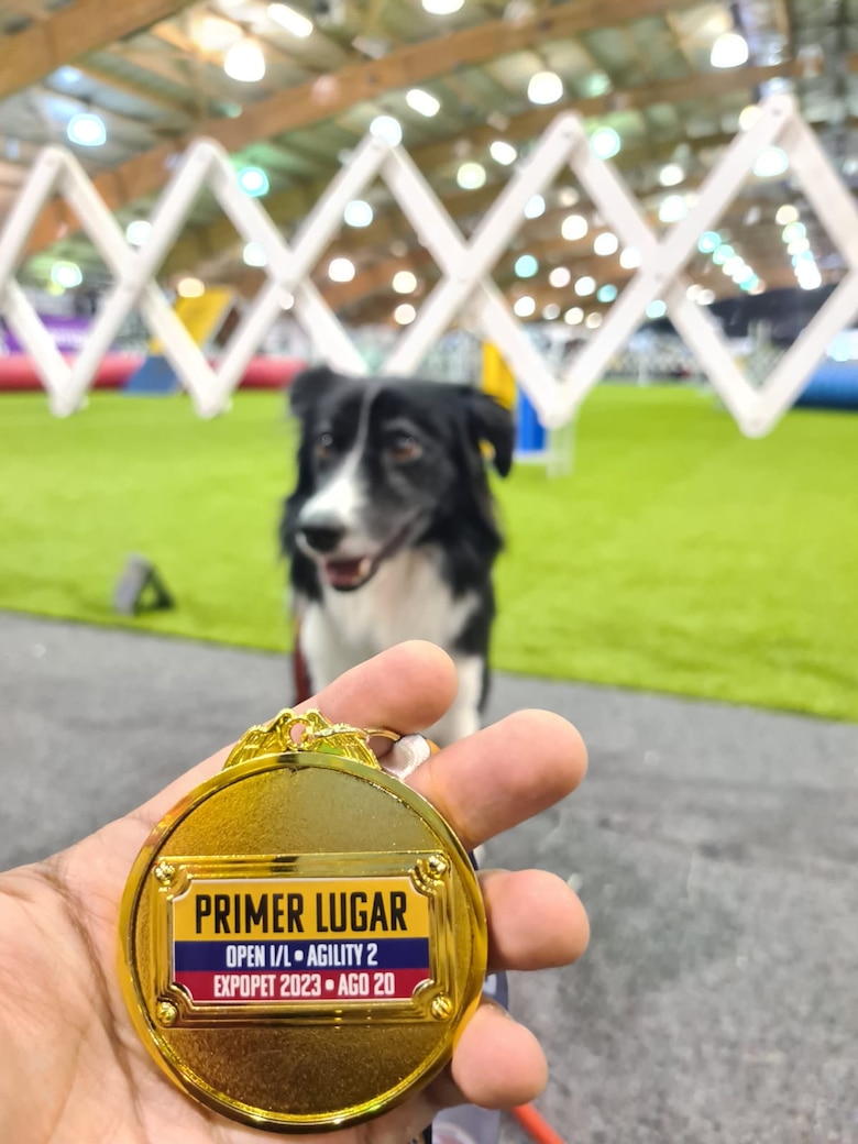 El auge del ‘agility’