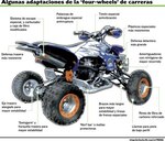 ‘Four wheels’ deportivos