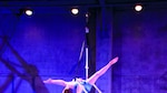 La danza va de gira al interior