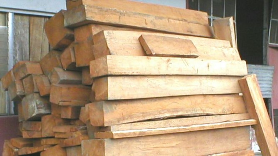 Retienen madera de zona de amortiguamiento del Parque Internacional de la Amistad