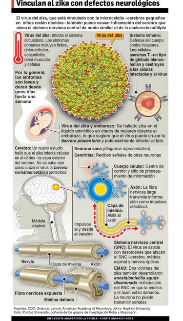 Expertos recomiendan la suspensión de los Juegos en Río por zika