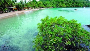 Polémica por decisión sobre Coiba