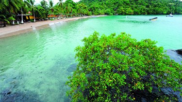 Polémica por decisión sobre Coiba