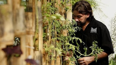 Los sabores de Panamá