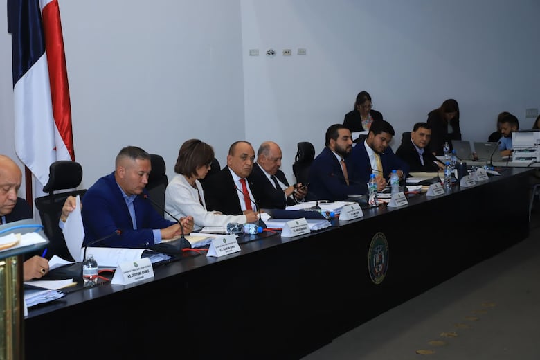 ‘Si no es la ley que le conviene al país, la veto’: Mulino sobre debate de reformas a la CSS